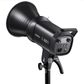 Godox SL100D 2 Head LED Daylight Octa Softbox Kit