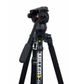Miller 3712 CX2 Solo-Q75 2-St Cf Tripod
