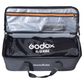 Godox FL100 Two Light Flexible Kit