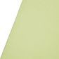 Westcott X-Drop Pro Wrinkle Resistant  Background LT Green Moss 2.4x3.9m