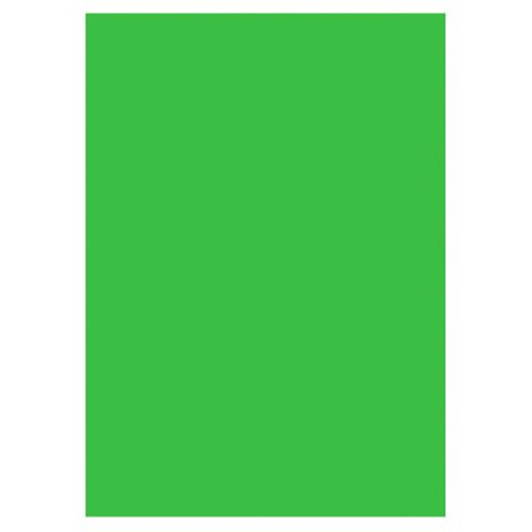 Westcott X-Drop Chromakey Green Background Only 1.5x2.1m