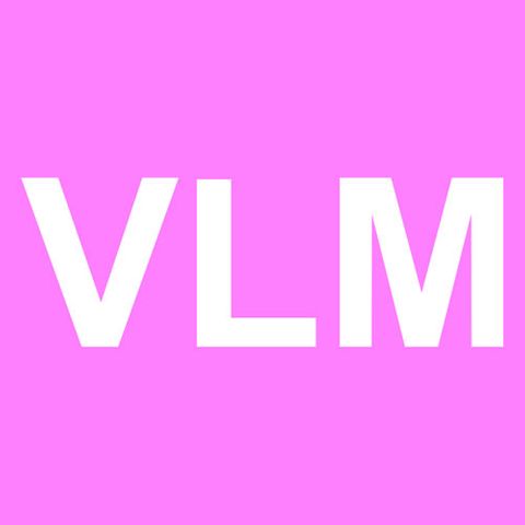 Epson 4880 Vivid Light Magenta 220ml Ink T6066