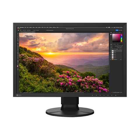 Eizo Coloredge CS2400S 24 Inch LED Monitor