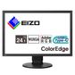 Eizo Coloredge CS2400S 24 Inch LED Monitor