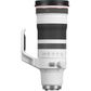 Canon EOS R RF 100-300mm F2.8 IS USM