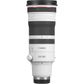 Canon EOS R RF 100-300mm F2.8 IS USM
