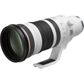 Canon EOS R RF 100-300mm F2.8 IS USM