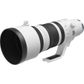 Canon EOS R RF 100-300mm F2.8 IS USM