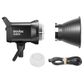 Godox SL60IID Daylight LED Video 2 Light Kit