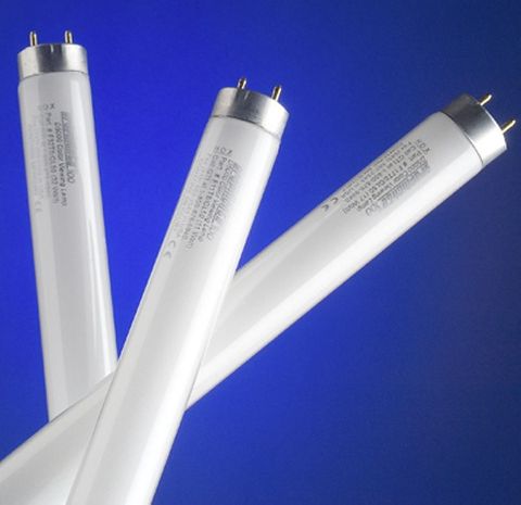 Gti Pk 8 Lamps F25t8/Gl50 D50 36inx1in L825