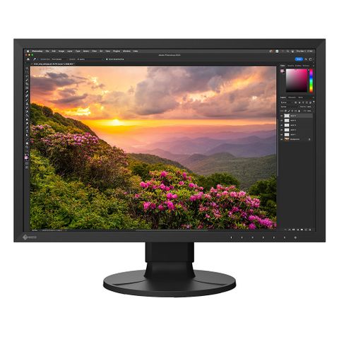 Eizo Coloredge CS2400S 24 Inch LED Monitor