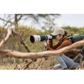 Sony E-Mount 100-400mm F4.5 GM OSS