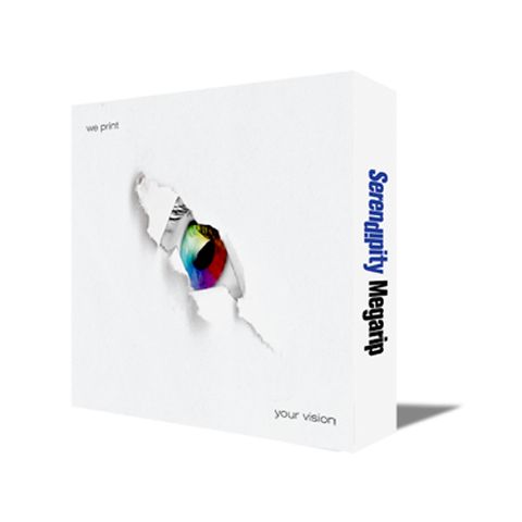 Serendipity Megarip Raster A1 Edition