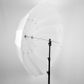 Xlite 165cm Deep Parabolic Translucent Umbrella