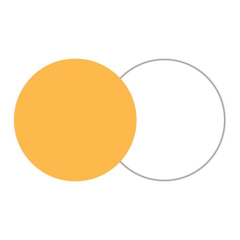 Lastolite Reflector 50cm Gold / White