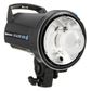 Elinchrom D-Lite RX4 Head With Protection Cap