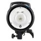 Elinchrom D-Lite RX4 Head With Protection Cap