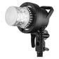 Godox H600P Remote Flash Head for AD600PRO