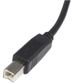 Startech 2m USB 2.0 A To B Cable - 2 Meter