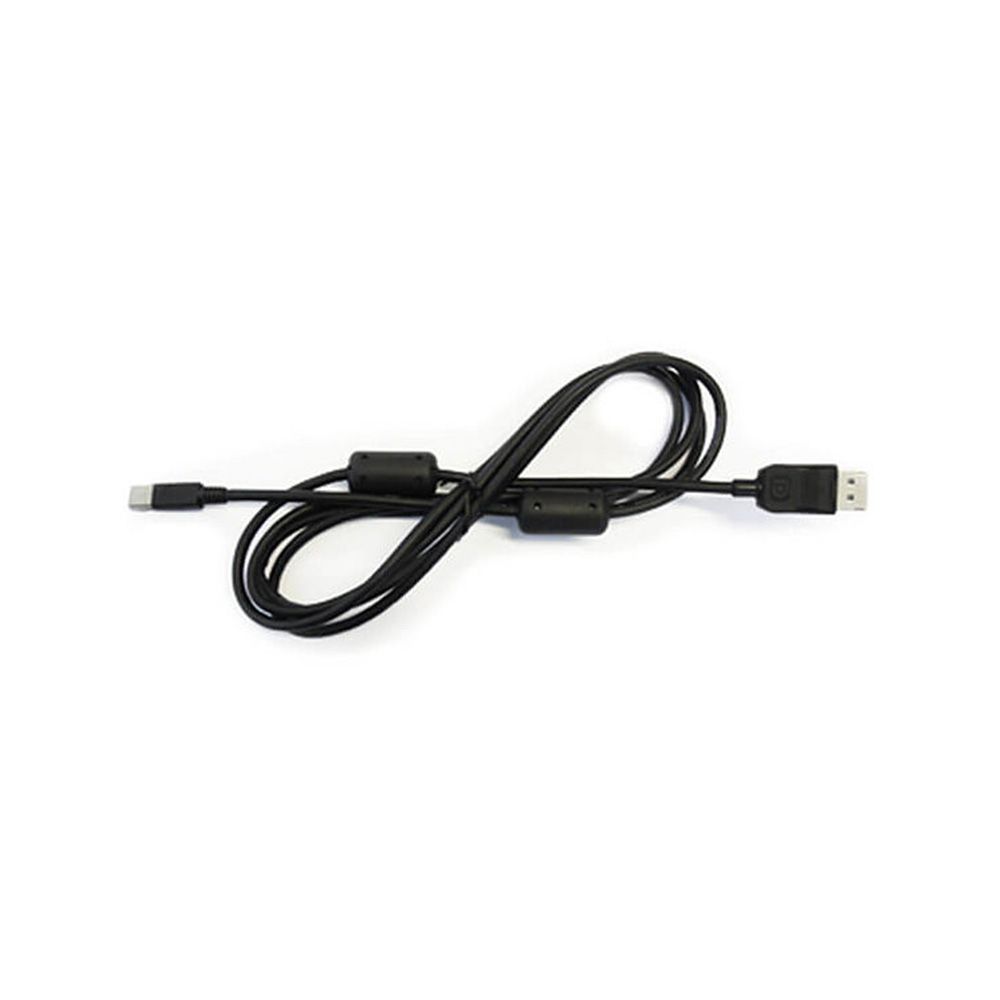 Eizo PM200 Cable Mini Display port to Display Port Cable