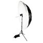 Godox AD300PRO Flash + 180cm B/W Umbrella + Compact Reversible 2.1m Stand