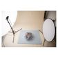 Elinchrom RX One + 180cm B/W Umbrella  & Reflector Kit