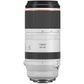 Canon EOS R RF 100-500mm F4.5-7.1 IS USM