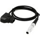 Core SWX 2-Pin To D-Tap 45cm Cable