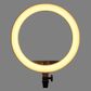 Godox LR150 Black BI Colour LED Ring Light 46cm