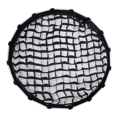 Aputure Light Dome Mini II - Grid Only