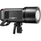 Godox AD600PRO 2 Head Kit With Roller Case