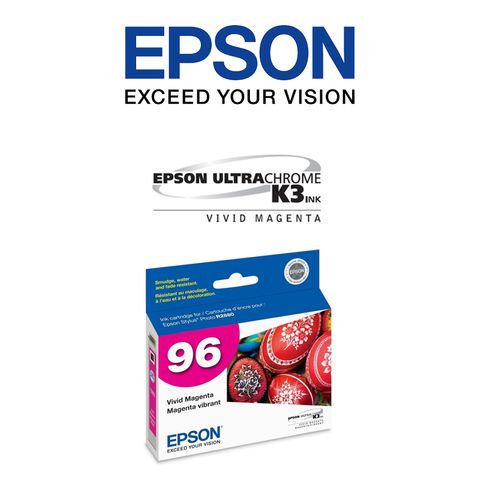 Epson 2880 Ink Cartridges