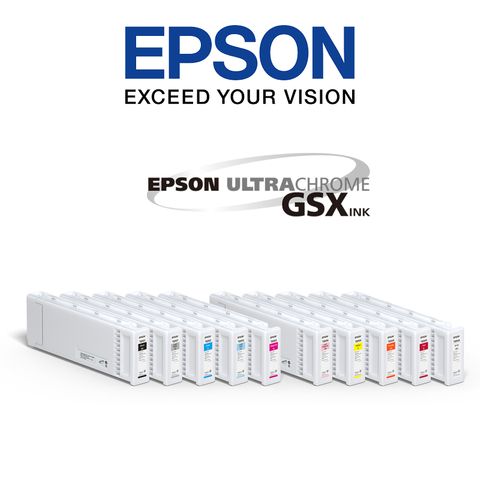 Epson S70600 Ink Cartridges