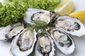 OYSTERS   PLATE DOZ (12)