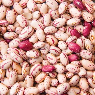 BEANS BORLOTTI 1KG