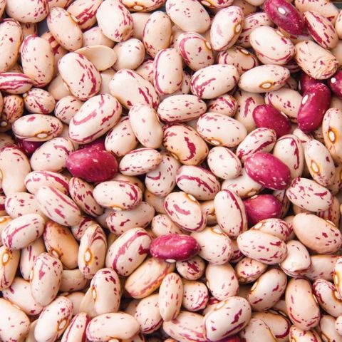 BEANS BORLOTTI 1KG