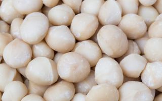 MACADAMIA WHOLE 1KG CHEF MASTER