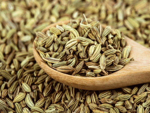 FENNEL SEEDS 1KG CHEFMASTER