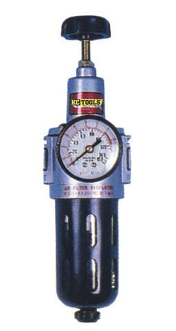 1/2" Npt Filter/Regulator With Gauge