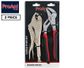 2 Piece Plier Set - 250mm Groove Joint Multigrips & 250mm Curved Locking Jaw