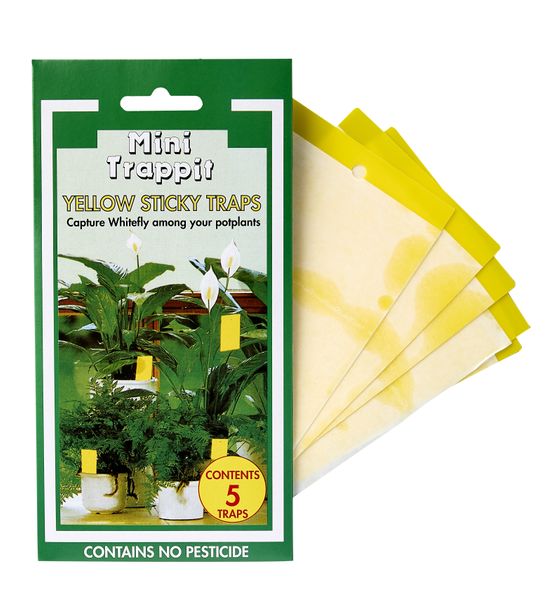 Trappit Mini Yellow Sticky Trap (5pk)