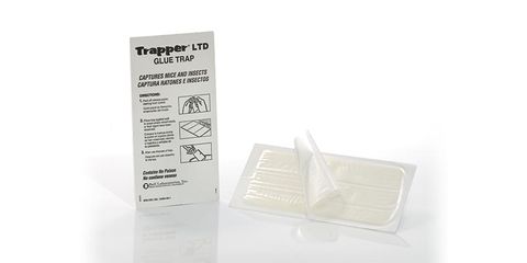 Trapper Ltd Insect Glue Board (Ctn72)