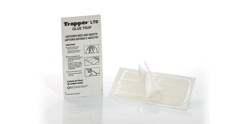 Trapper Ltd Insect Glue Board (Ctn72)