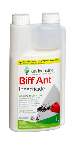 Biff Ant
