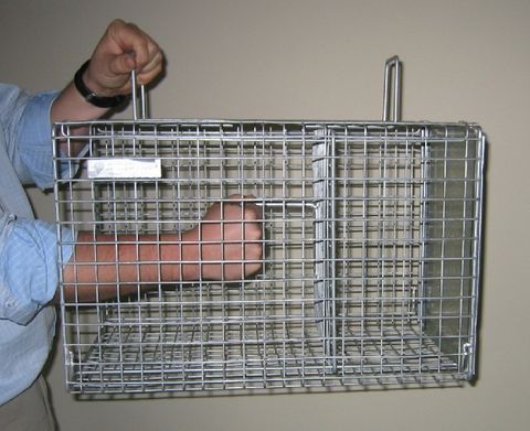 Cat Crusher Cage Trap NC (1 door)