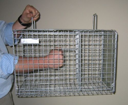 Cat Crusher Cage Trap NC (1 door)