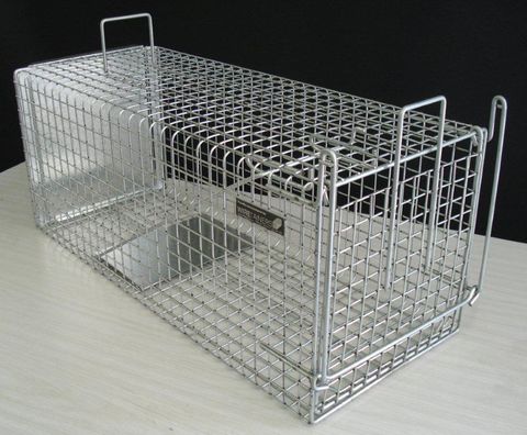 Cat & Possum Cage Trap NC (2 doors)