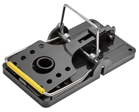 Snap Rat Trap