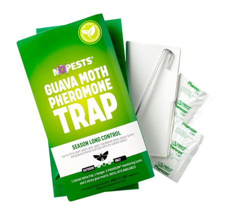 NoPests&reg; Guava Moth Pheromone Trap