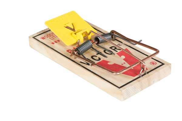 Victor&reg; Professional Rat Trap